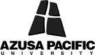 Partner 5